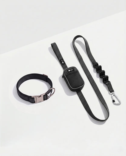Collar Walking Kit • Black