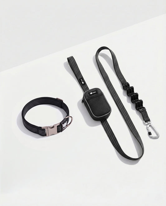Collar Walking Kit • Black
