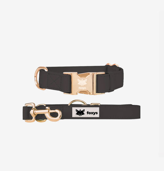 Cityfox ™ Collar Kit and Correa 2.5m |  Black