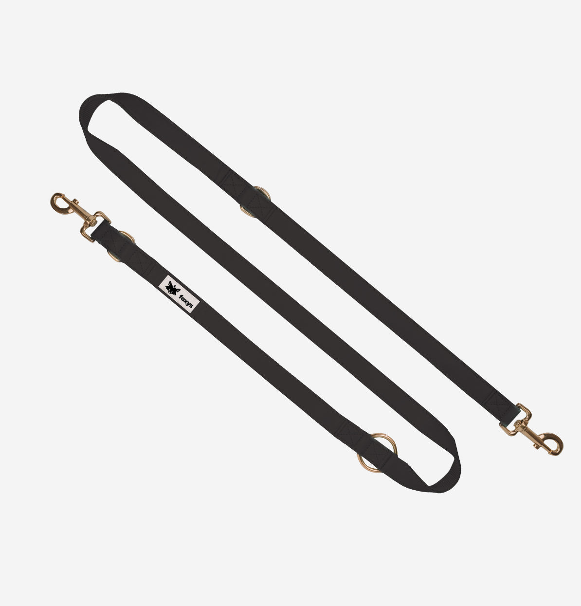 Cityfox ™ Collar Kit and Correa 2.5m |  Black