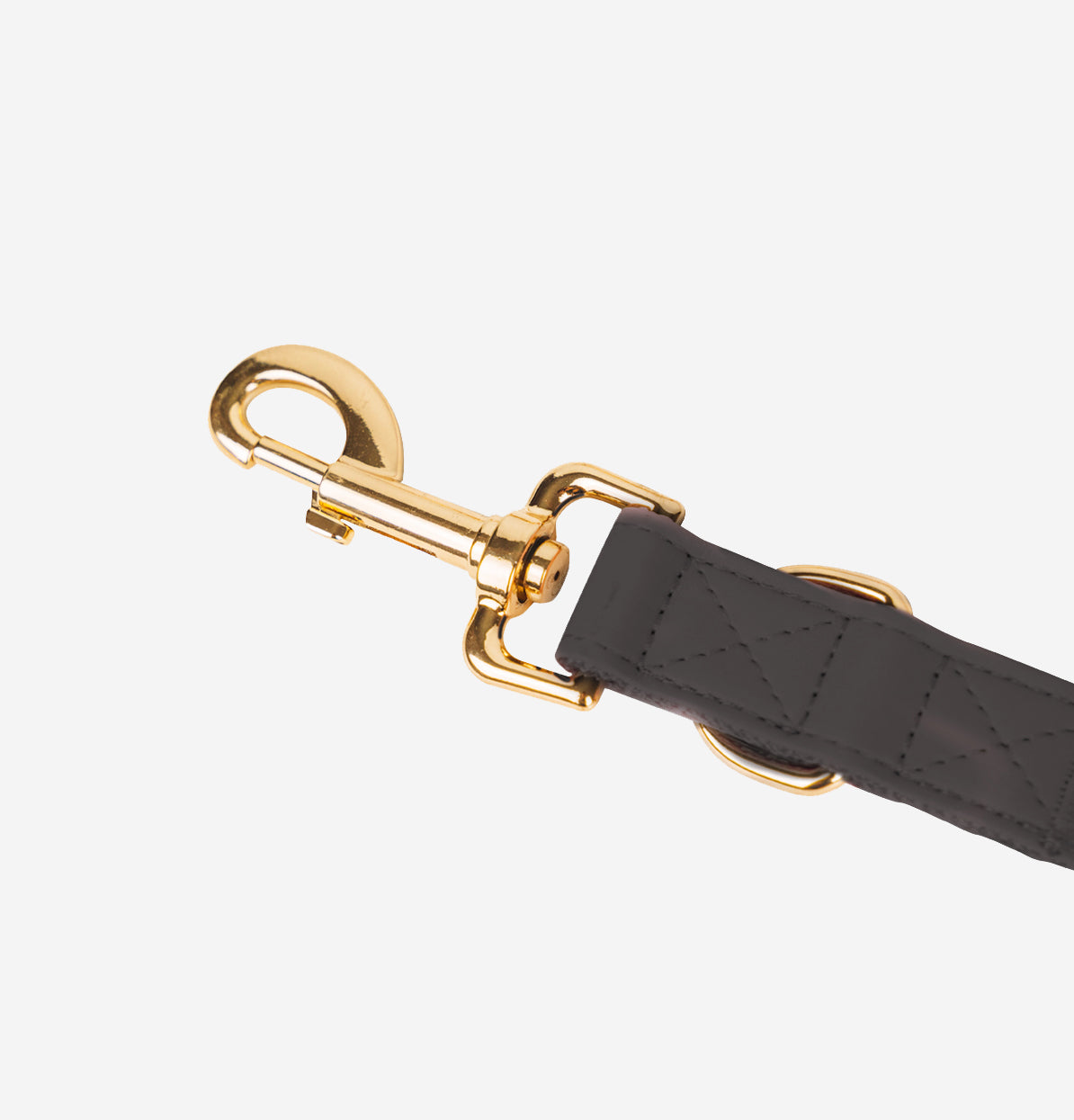 Cityfox ™ Collar Kit and Correa 2.5m |  Black