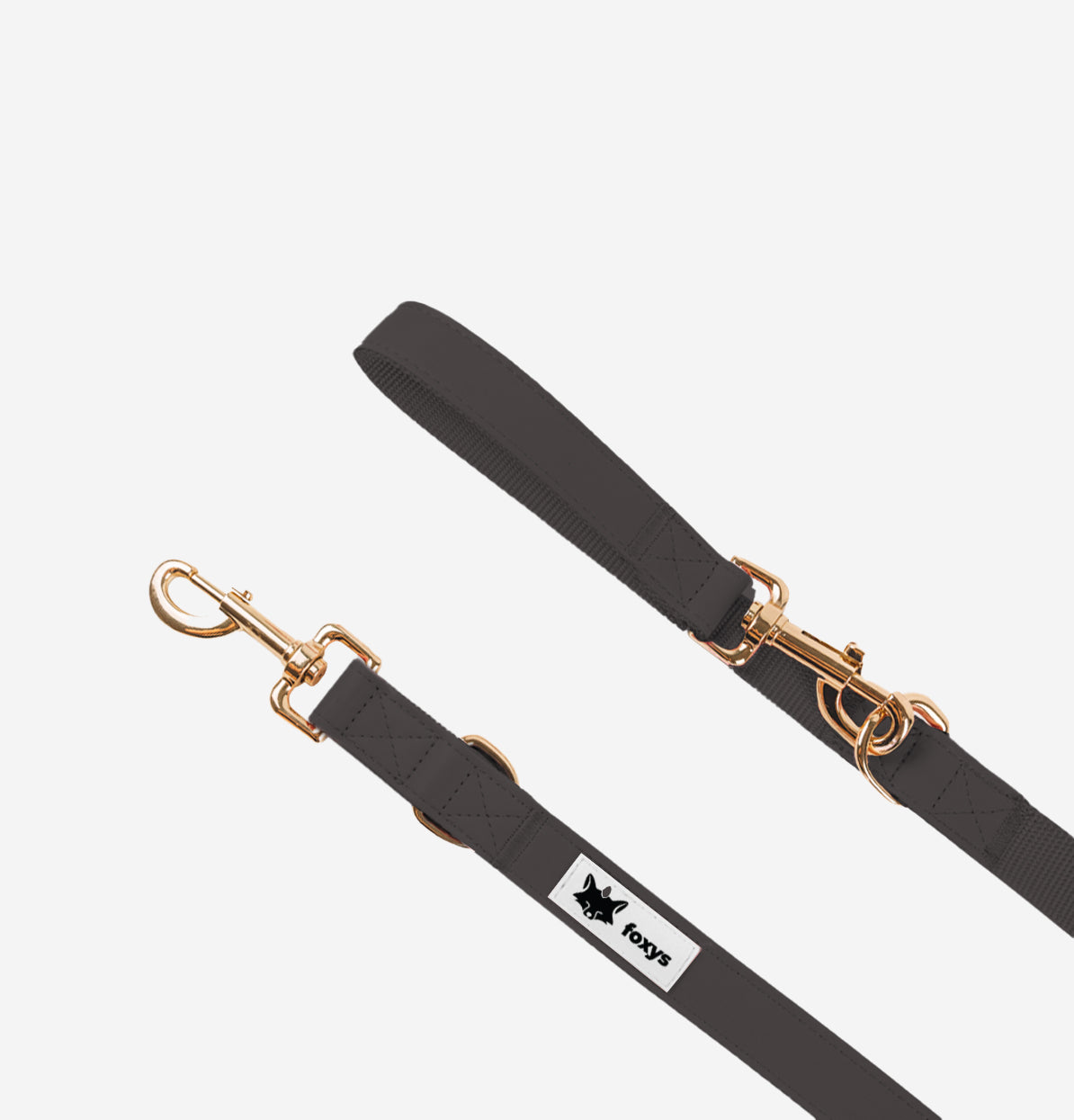 Cityfox ™ Collar Kit and Correa 2.5m |  Black