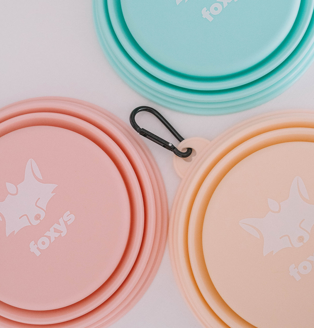 FoxyBowl™ Foldable Bowl