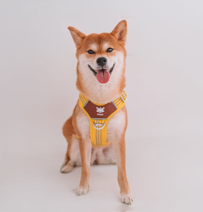 CountryFox ™ Pro Arnés |  Buttergelb