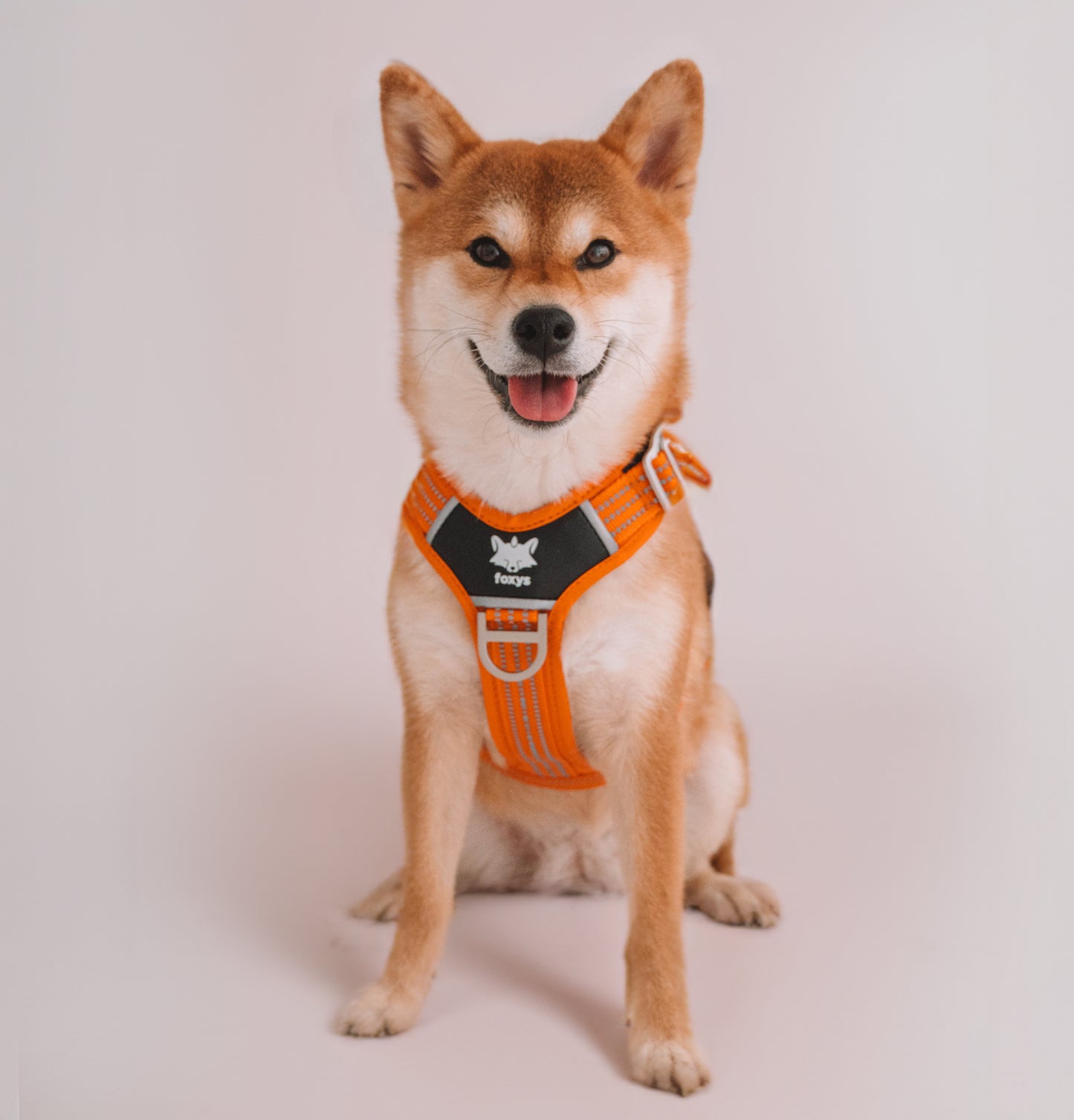 CountryFox™ PRO Harness |  Orange