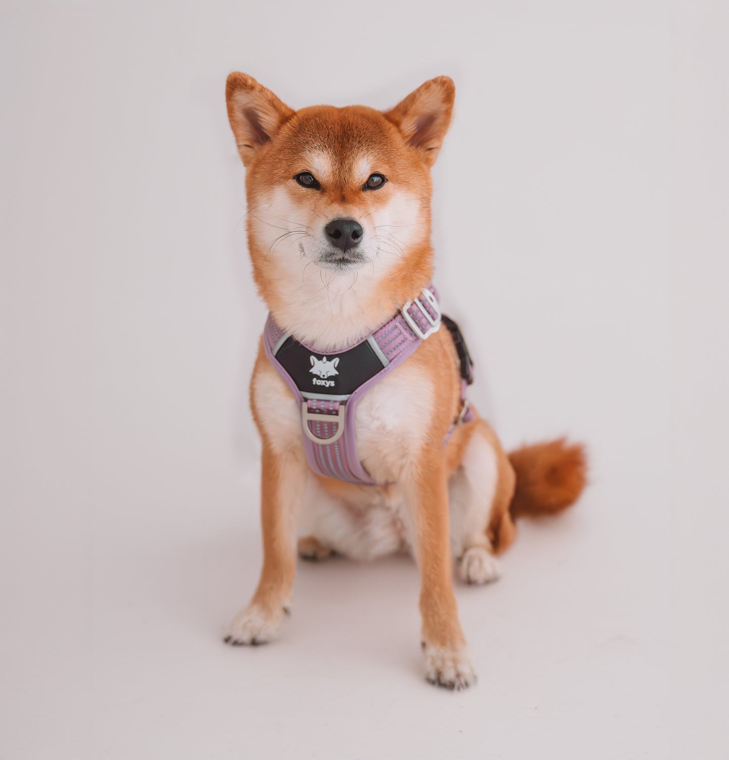 CountryFox™  PRO Arnés | Lila