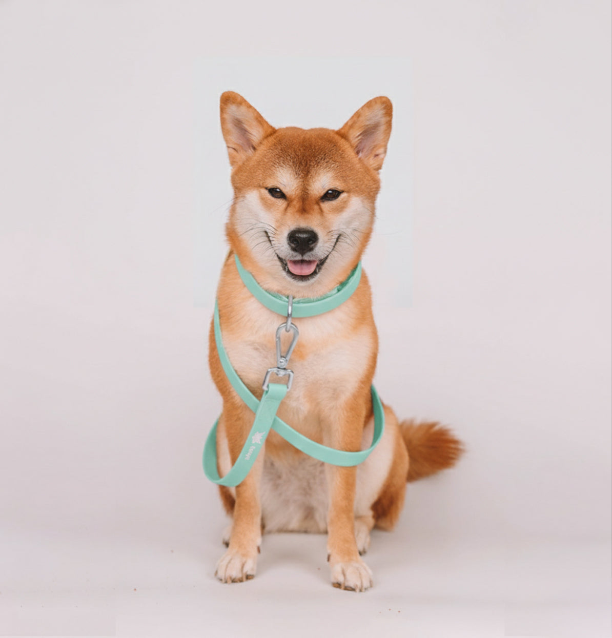 Freedom™ leash Training | Glow