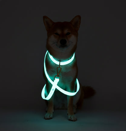 Freedom™ leash Training | Glow