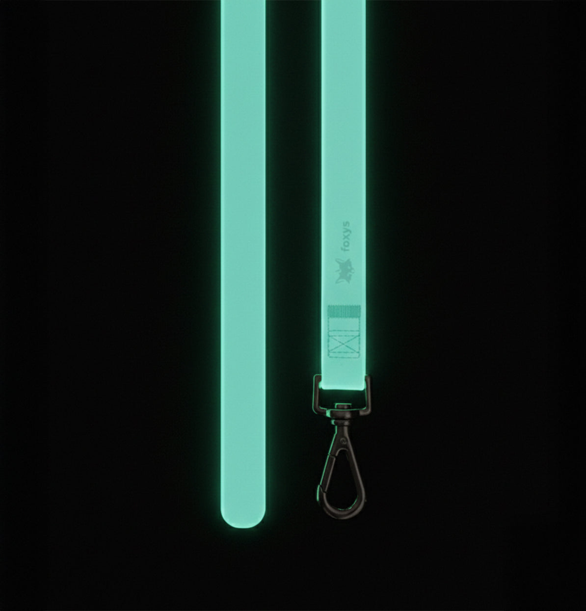 Freedom™ leash Training | Glow