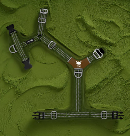 <tc>Countryfox ™ Pro Harness |  Matcha green</tc>