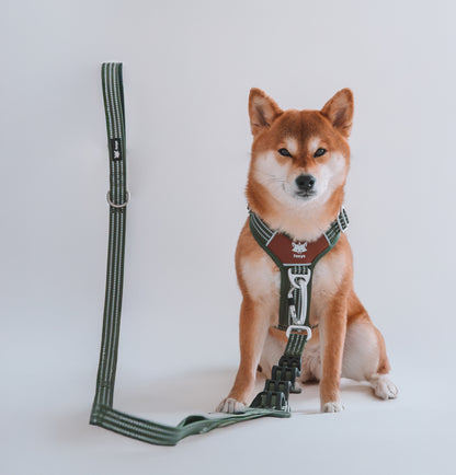 CountryFox Leash™ PRO | Verde Matcha