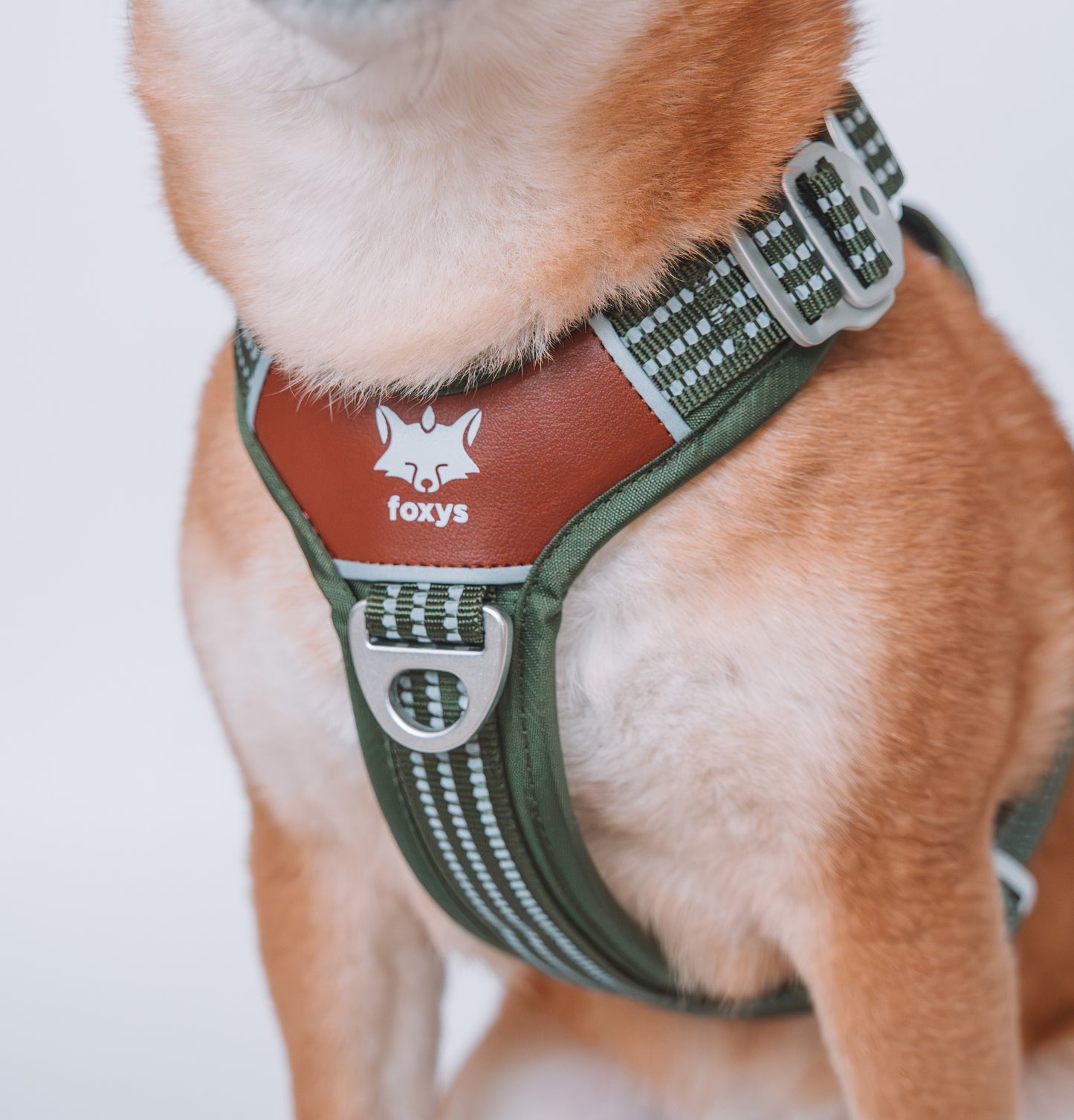 <tc>Countryfox ™ Pro Harness |  Matcha green</tc>