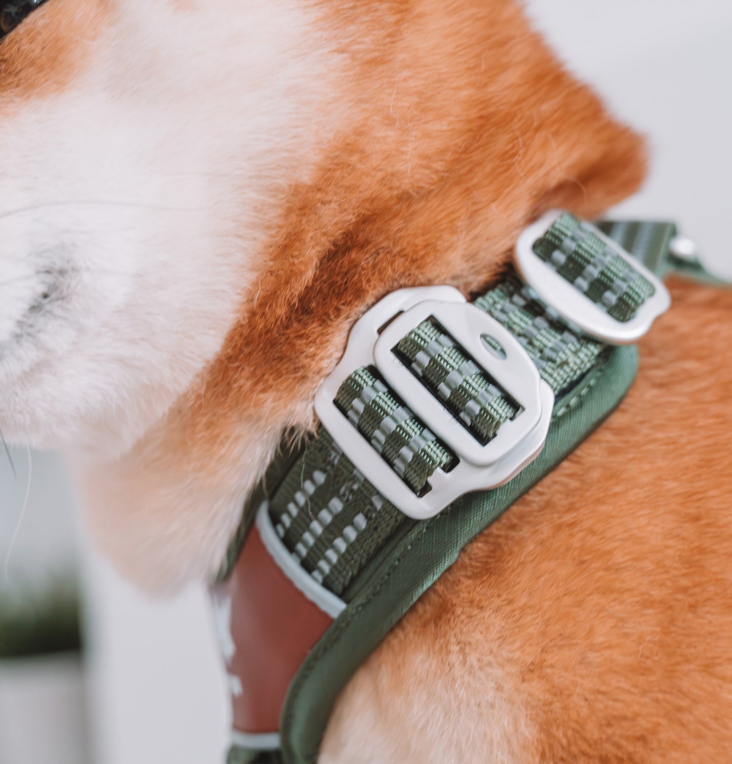 <tc>Countryfox ™ Pro Harness |  Matcha green</tc>