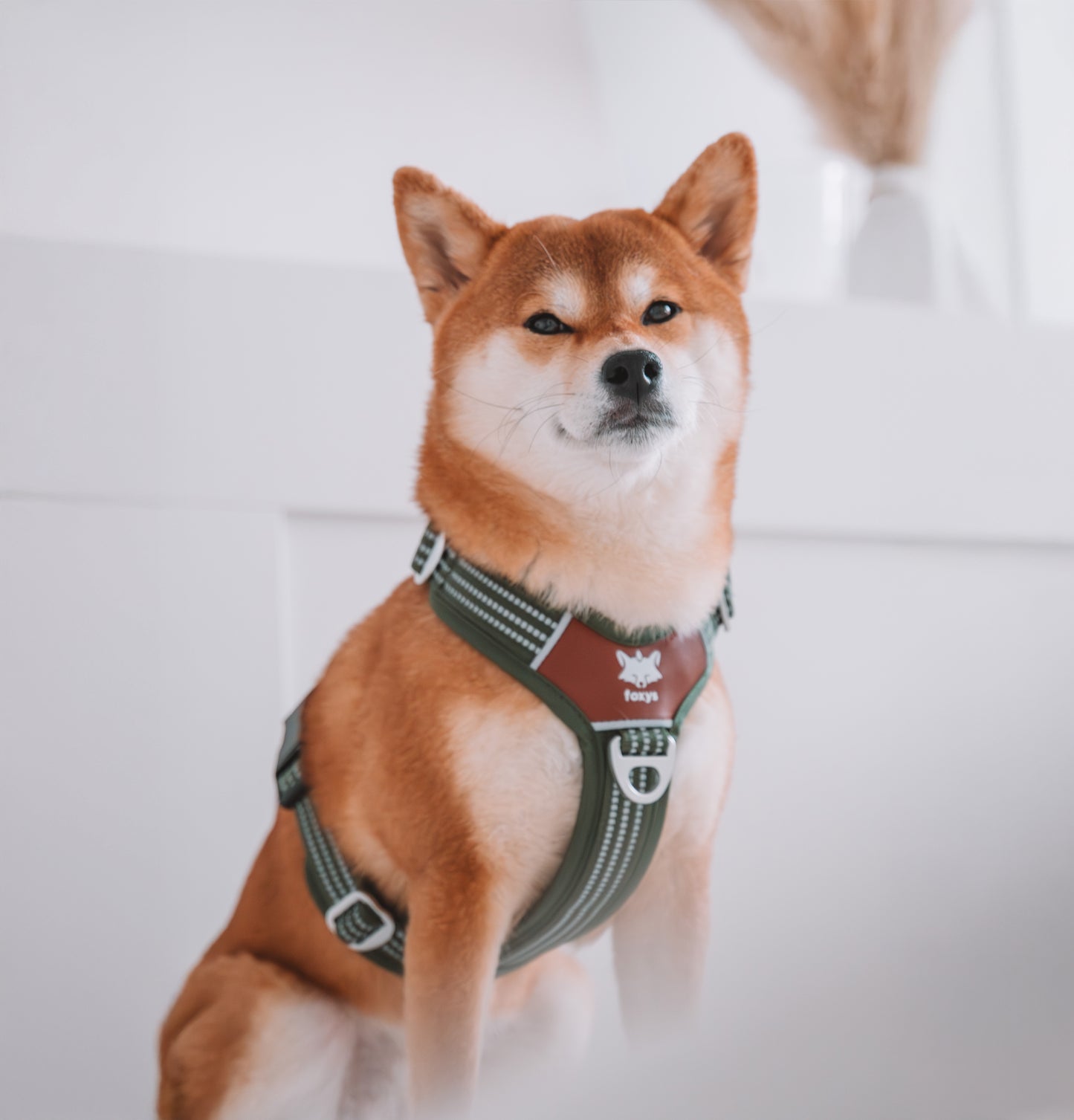 <tc>Countryfox ™ Pro Harness |  Matcha green</tc>