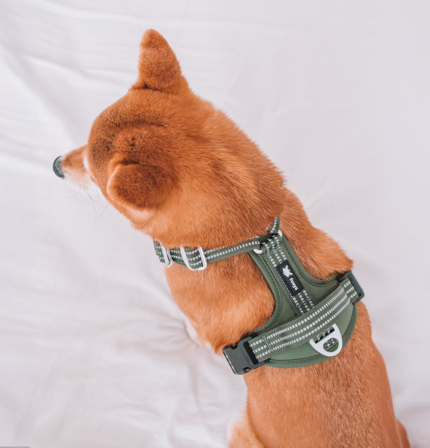 <tc>Countryfox ™ Pro Harness |  Matcha green</tc>
