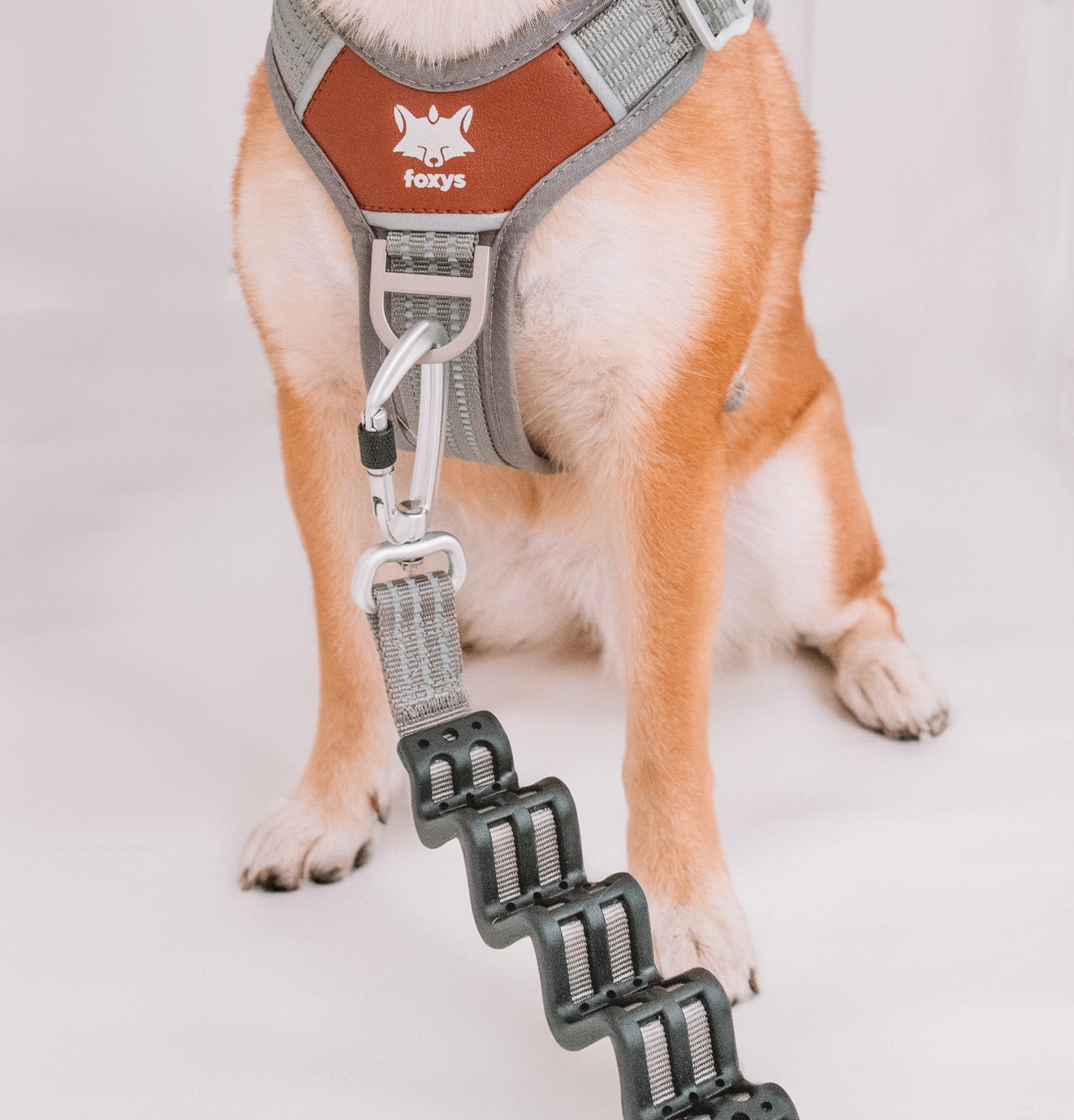 CountryFox™ Leine |  Schwarz (Kopie)