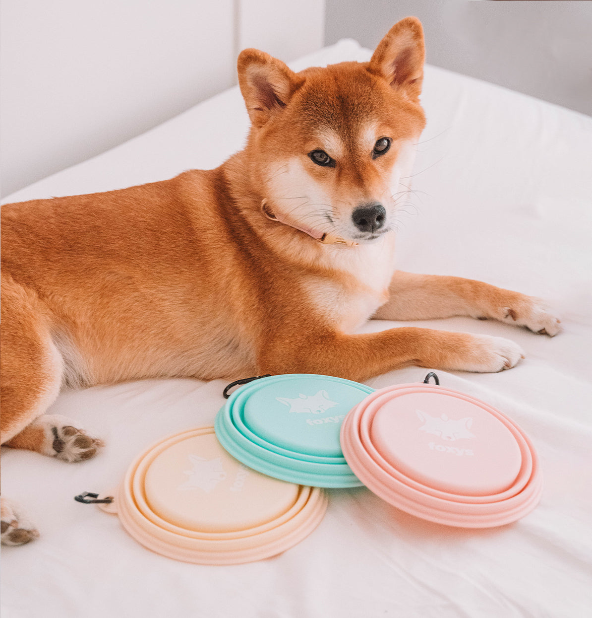 FoxyBowl™ Foldable Bowl