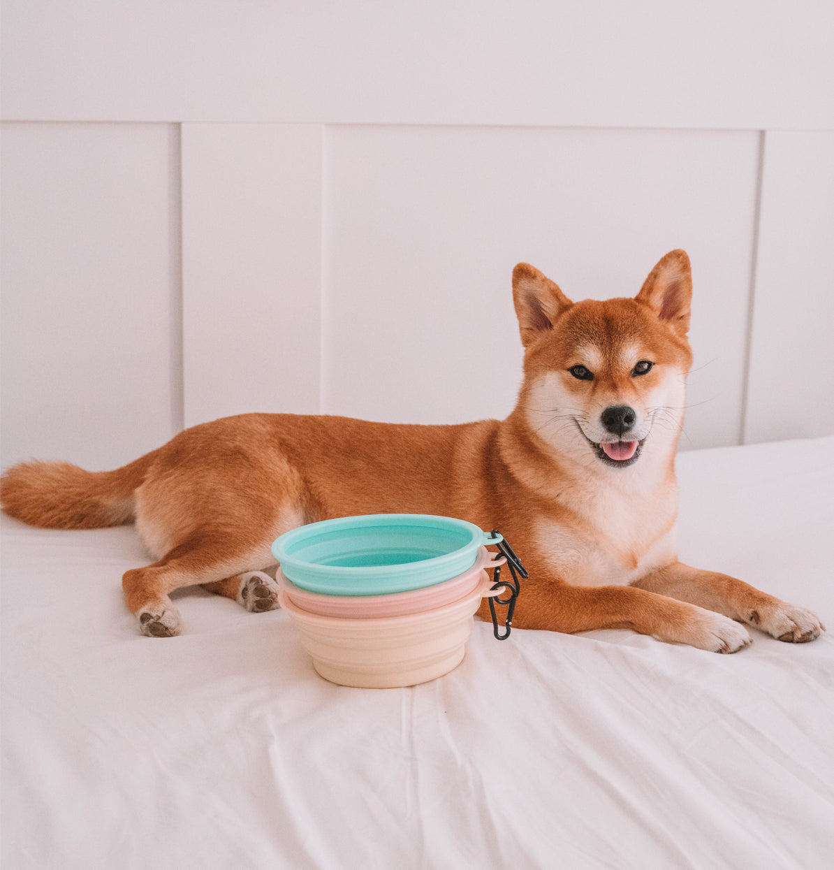 FoxyBowl™ Foldable Bowl