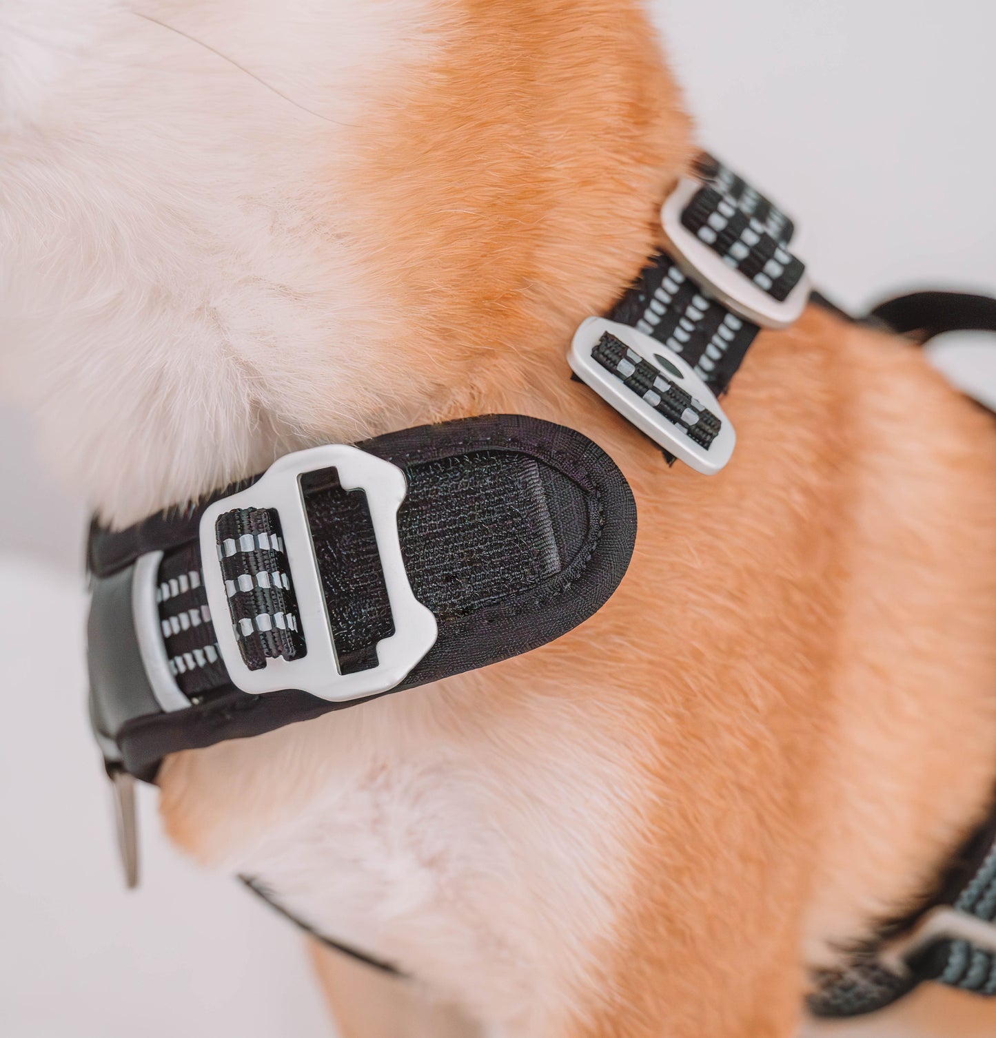 CountryFox™ PRO Harness |  Black