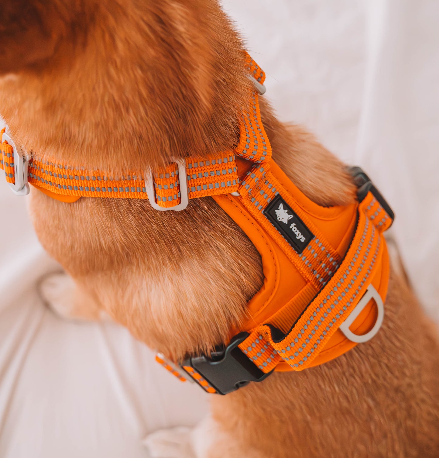 CountryFox™ PRO Harness |  Orange