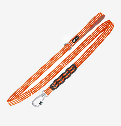orange_CountryFox_Dog-Leash_Antipulling_foxys