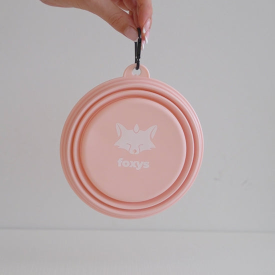 foxy bowl dog travel bowl