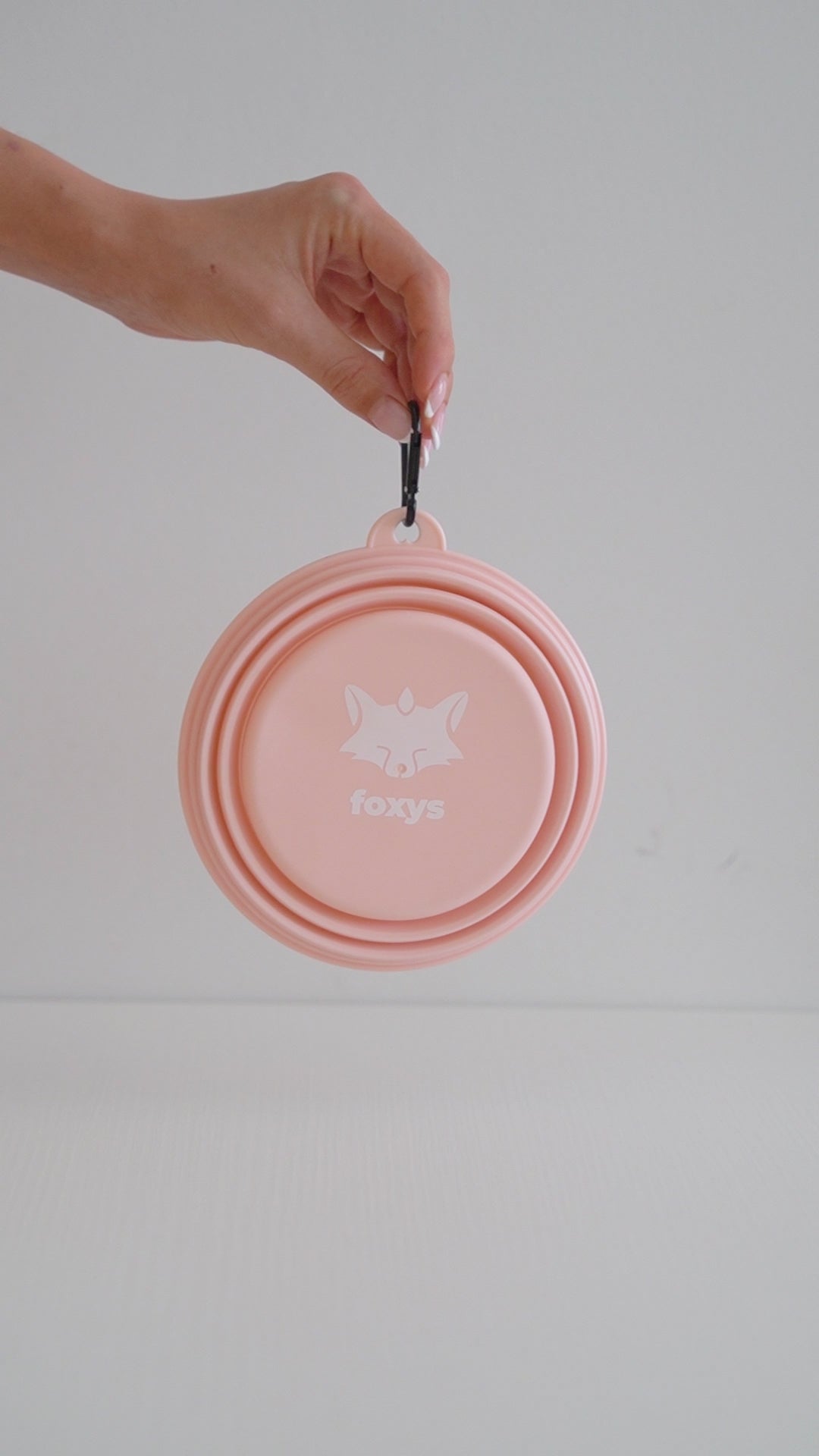 foxy bowl dog travel bowl