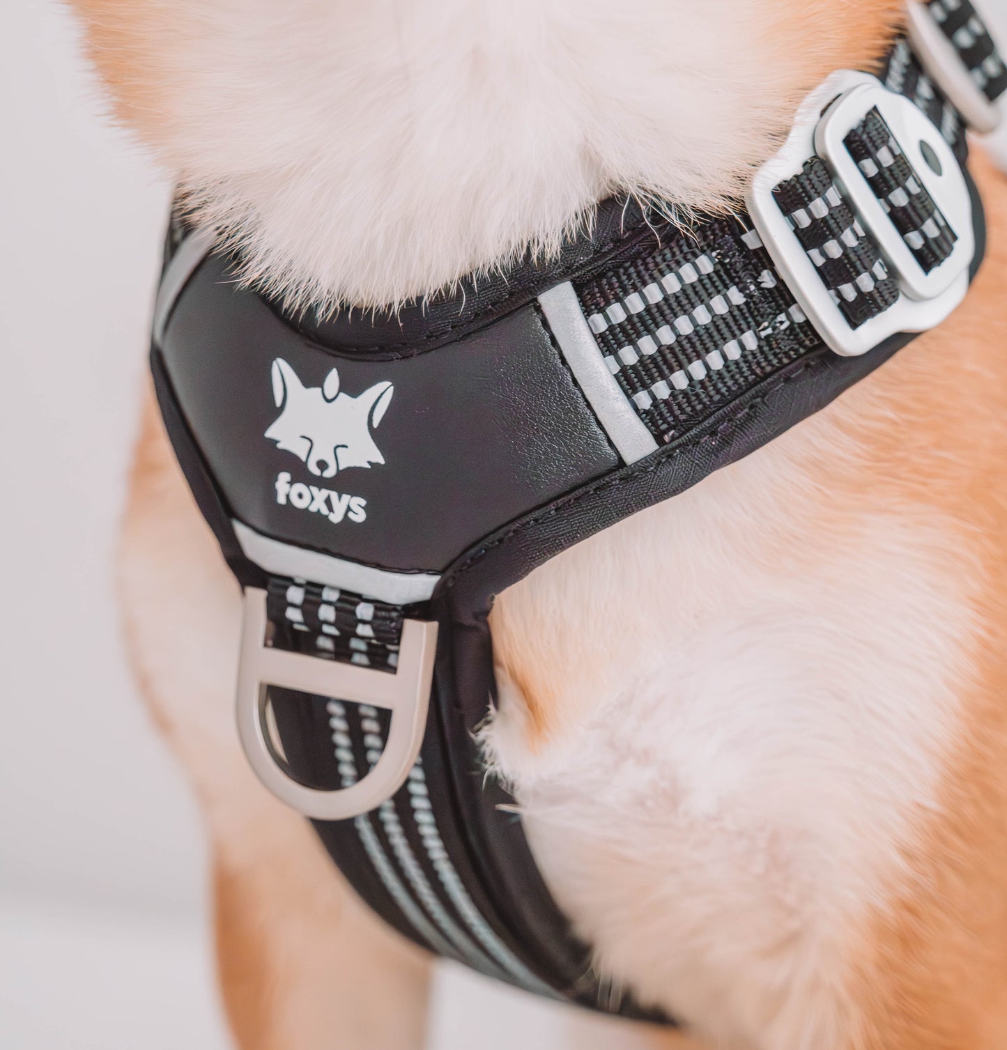 CountryFox™ PRO Harness |  Black